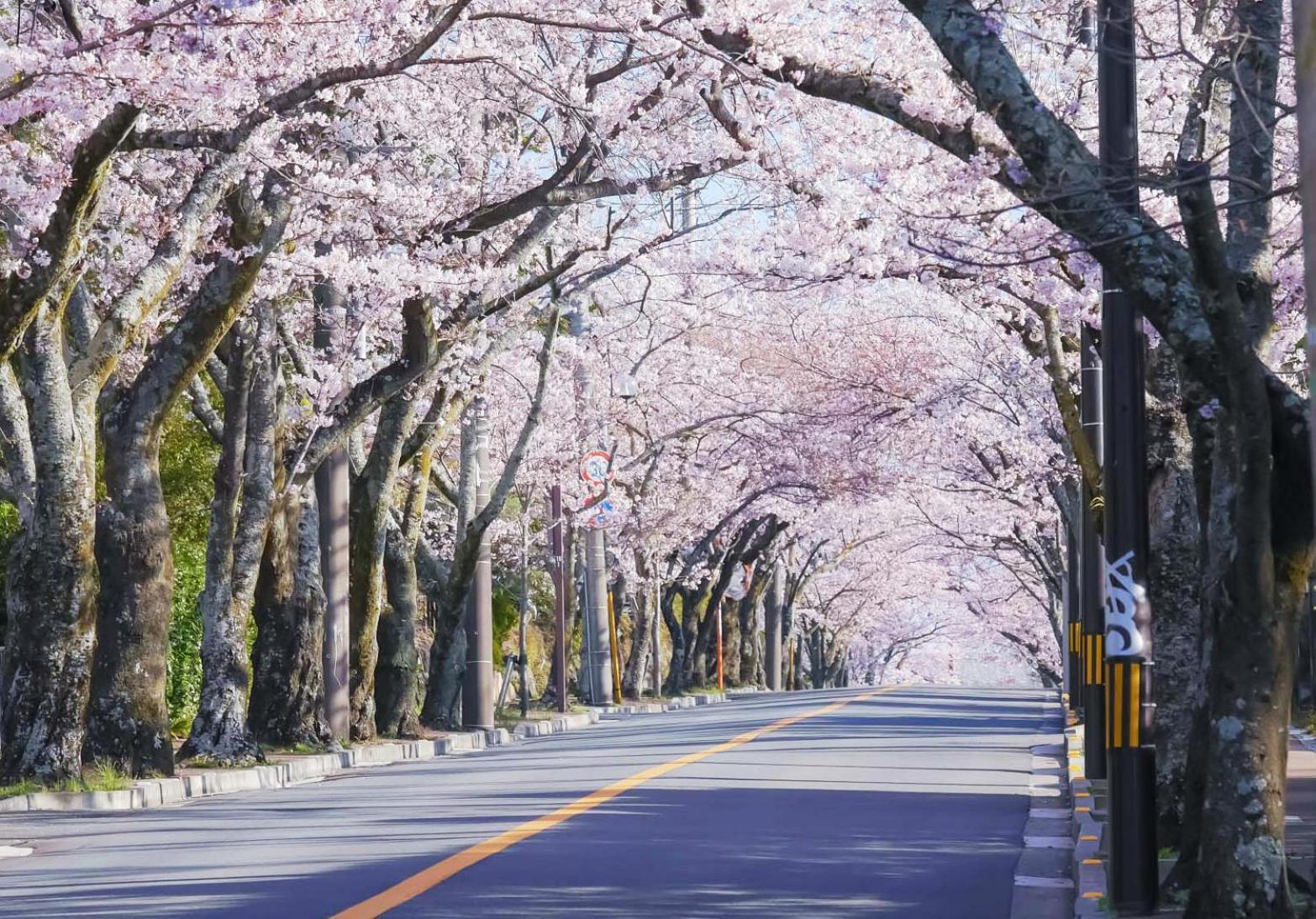 Villa 伊豆高原テラス-寛道- Ito  Exterior foto